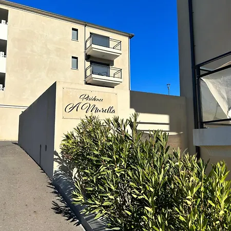 T1 De Standing Avec Vue *