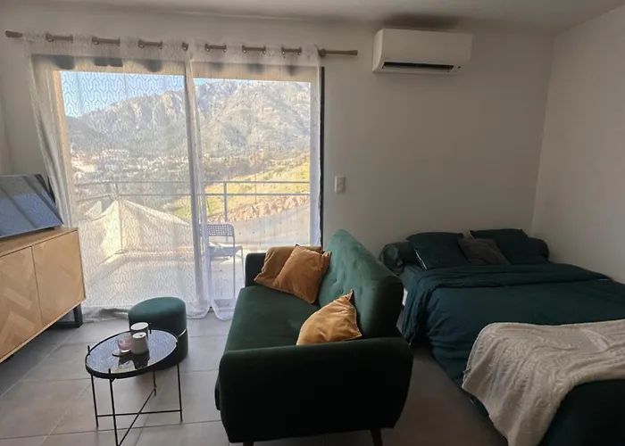 T1 De Standing Avec Vue